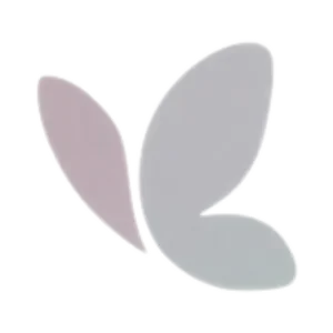 vlinder uit logo movementz